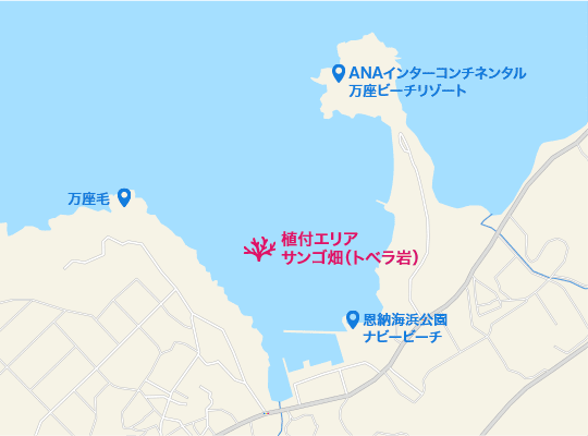 観測地点マップ（ワイド）